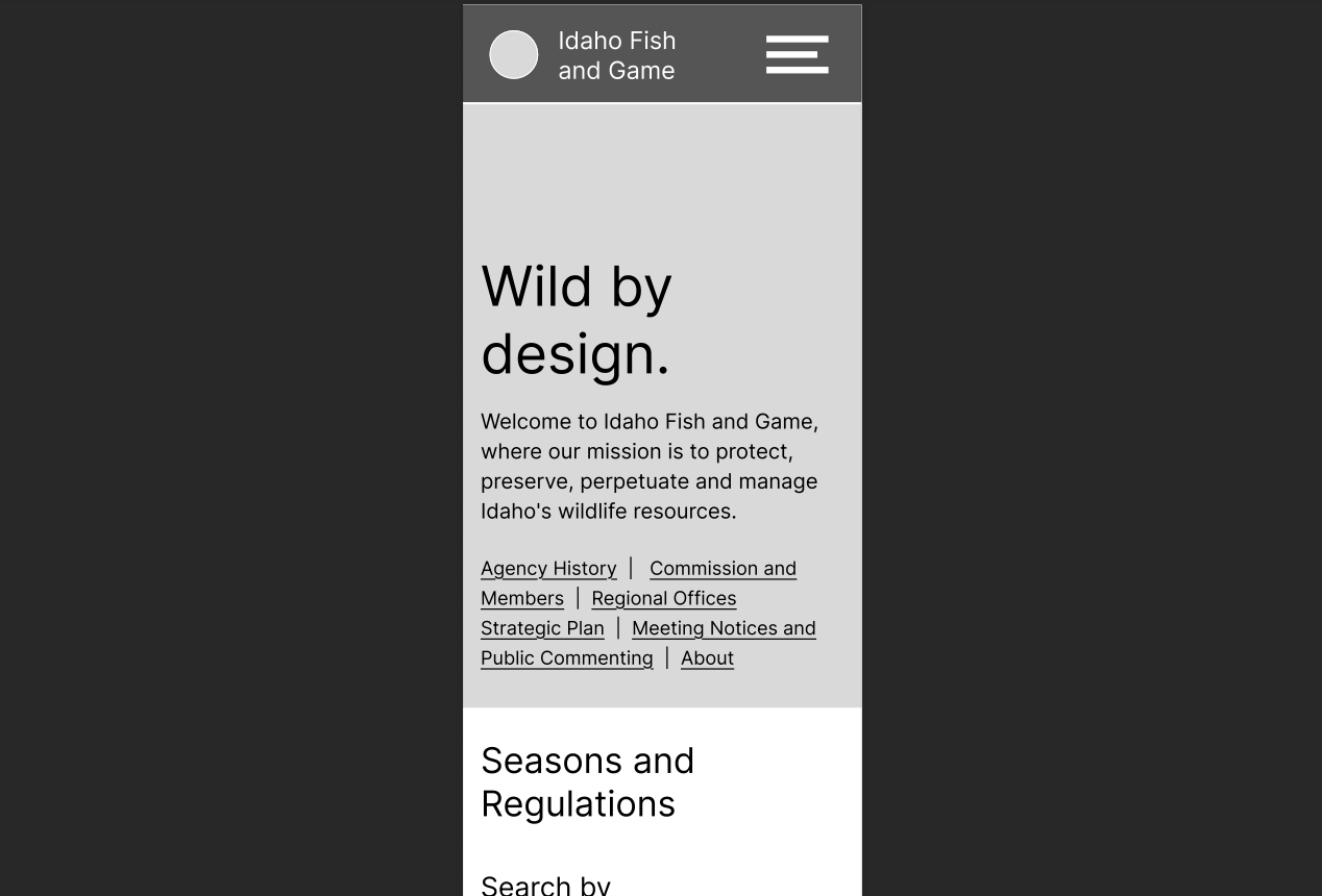 Low-fidelity Wireframe